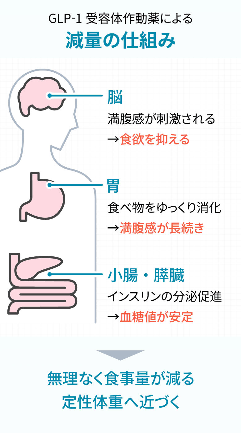 what_is_glp1